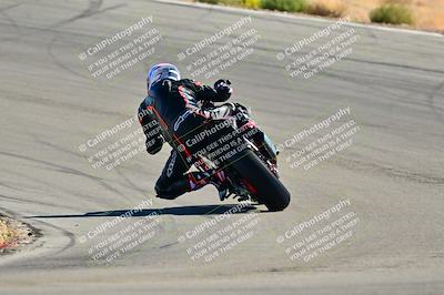 media/Oct-24-2025-2WTD (Fri) [[491f36c2bf]]/B Group/Session 3 (Turn 5)/